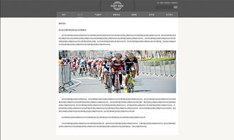 天津網(wǎng)站開發(fā) 自行車官網(wǎng)案例欣賞