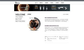 天津網頁開發與工業制造官網設計——奔唐網絡的卓越實踐